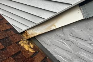 item_b65afb3c-fd99-4e81-8150-eca1d55d1939 - Integrity 1st Roofing